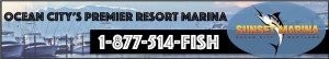 Small Sunset Marina banner used for Hooked on OC's website