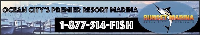 Small Sunset Marina banner used for Hooked on OC's website